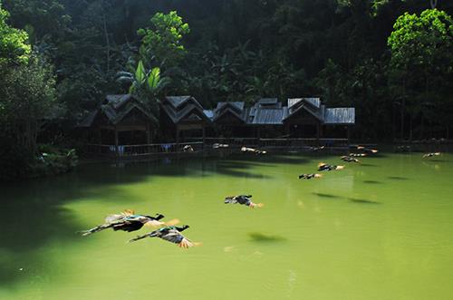 Xishuangbanna Primitive Forest Park