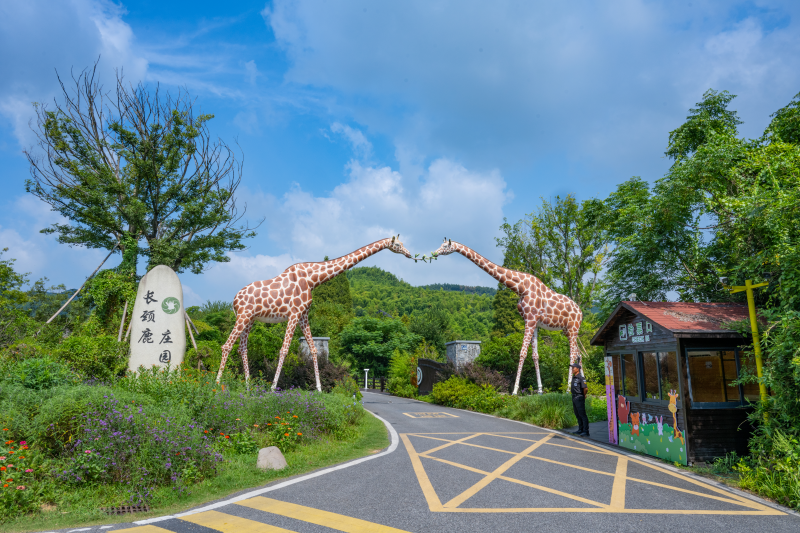 湖州長頸鹿莊園